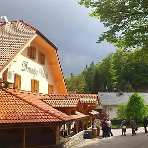 Hotel Domacija Vodnik &